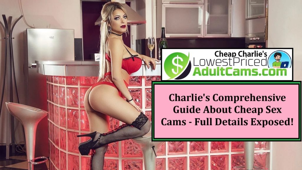 cheap sex cams guide explained